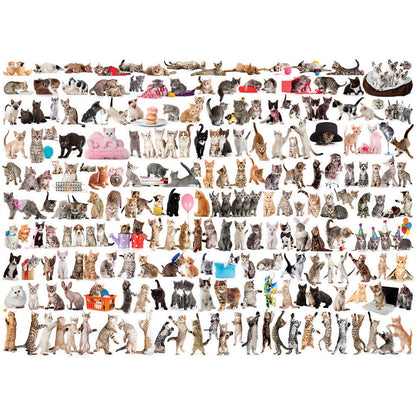 Puzzle World Of Cats 1000pc