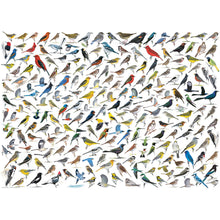 Puzzle World Of Birds 1000pc
