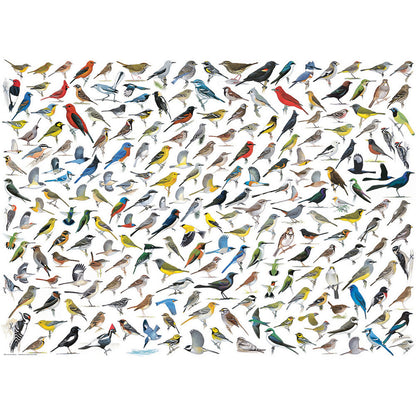 Puzzle World Of Birds 1000pc