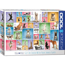Puzzle Yoga Dogs 1000pc