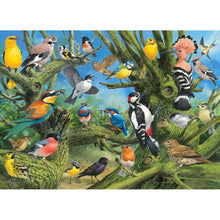 Puzzle Garden Birds Jardin 1000pc