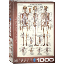 Puzzle The Skeletal System 1000pcs