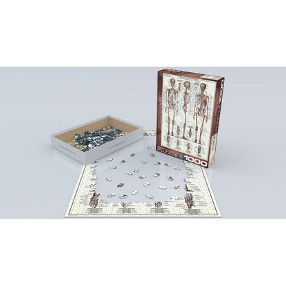 Puzzle The Skeletal System 1000pcs