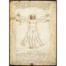 Puzzle Da Vinci Vitruvian Man 1000pc