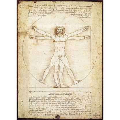 Puzzle Da Vinci Vitruvian Man 1000pc