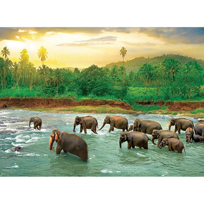 Puzzle Rainforest 1000pc