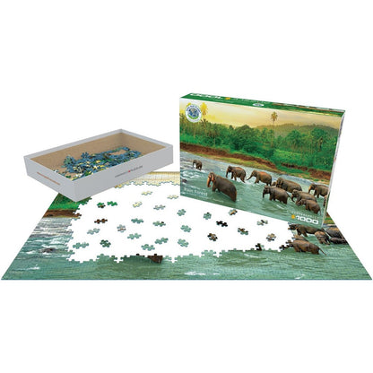 Puzzle Rainforest 1000pc