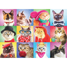 Puzzle Silly Cats 300pcxXL