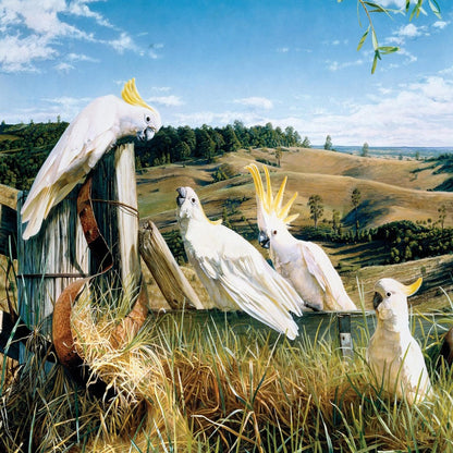 Puzzle Garry Fleming Country Senate