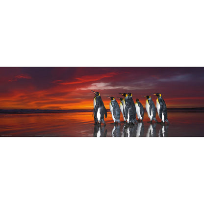 Puzzle Panorama King Penguins 1000Pc