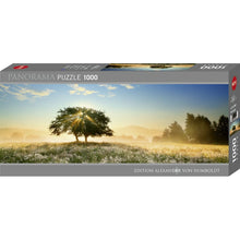 Puzzle Panorama Play Of Light 1000Pc