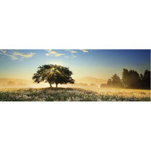 Puzzle Panorama Play Of Light 1000Pc