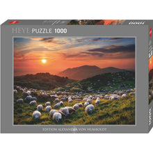 Puzzle Von Humbold Sheep & Volcanoes