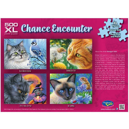 Puzzle Chance Encoutner Spell 500Pcx