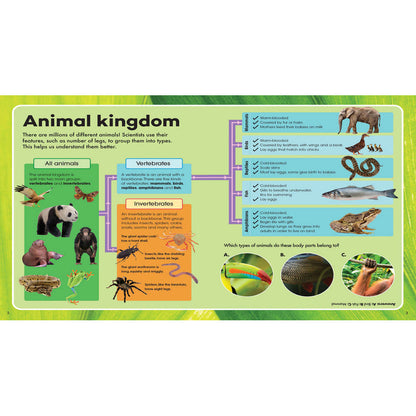 Explore & Learn Animals Book