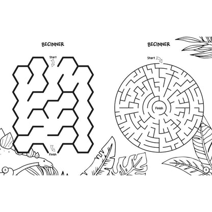 Dinosaur Colouring & Mazes Book