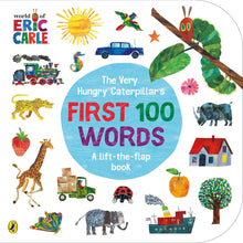 Vhc First 100 Words Book