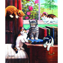 Puzzle Playtime In The Study 1000Pc
