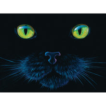 Puzzle Black Cat 1000Pc