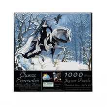 Puzzle Chance Encounter 1000Pc