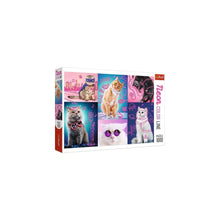 Puzzle Neon Colour Line Cats 1000Pc