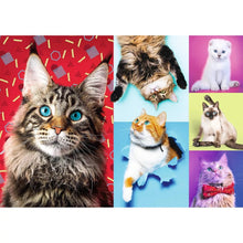 Puzzle Happy Cats 1000Pc