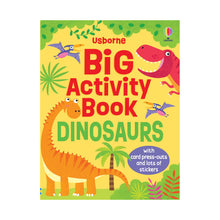 Big Activity Book Dinosaurs Book