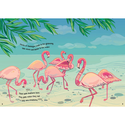 Sparkly Sticker Book Book