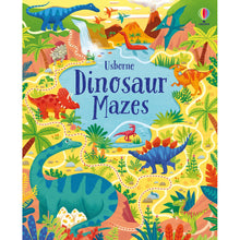 Dinosaur Mazes Book