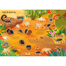 First Sticker Book Bugs Book