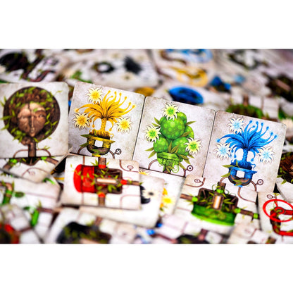 Asmodee Botanik Game