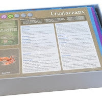 Folded Space Game Inserts - Dominant Species
