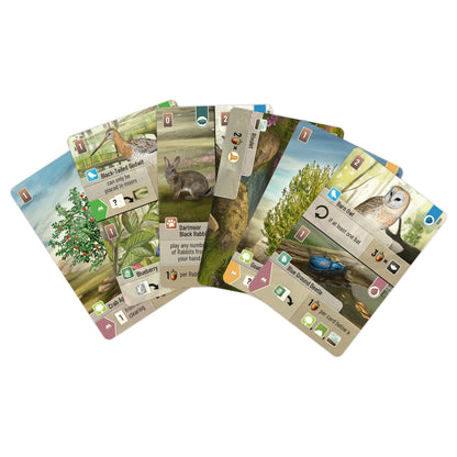 Asmodee Forest Shuffle Dartmoor Game