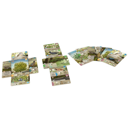 Asmodee Forest Shuffle Dartmoor Game