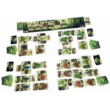 Asmodee Forest Shuffle Game