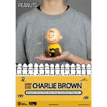 Beast Kingdom Piggy Bank Peanuts Series Palm Size Vinyl Functional Figurine Charlie Brown Figurine