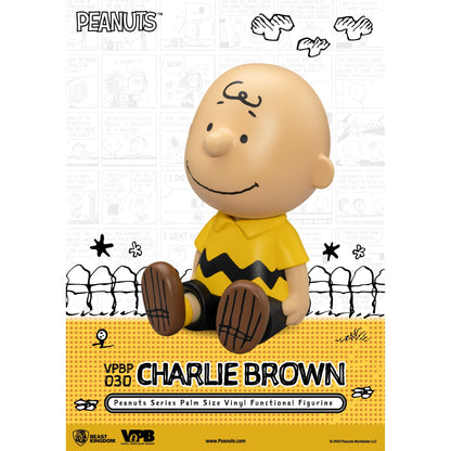 Beast Kingdom Piggy Bank Peanuts Series Palm Size Vinyl Functional Figurine Charlie Brown Figurine