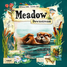 Asmodee Meadow Downstream Expansion Game
