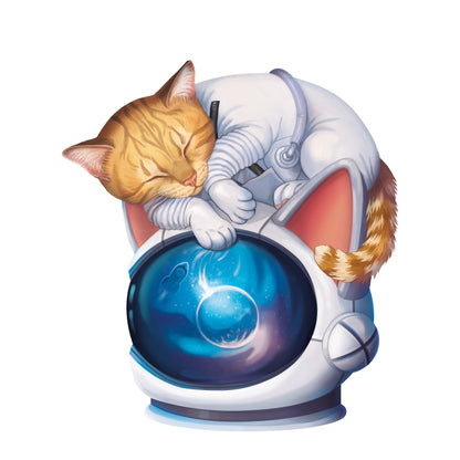 Asmodee MLEM Space Agency Game