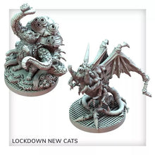 Nemesis Lockdown Space Cat Game