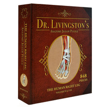 Dr. Livingston's Anatomy the Human Right Leg Puzzle 848 pieces