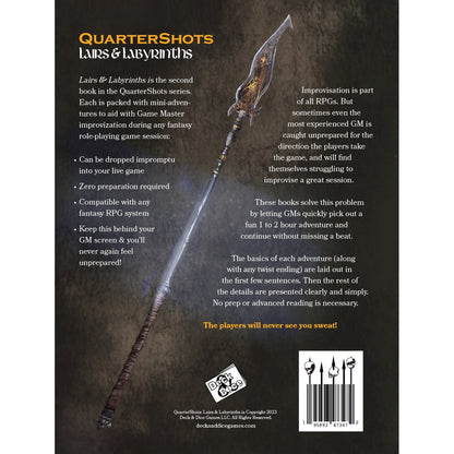 QuarterShots Lairs and Labyrinths Game