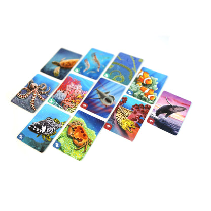 Ecosystem: Coral Reef Game