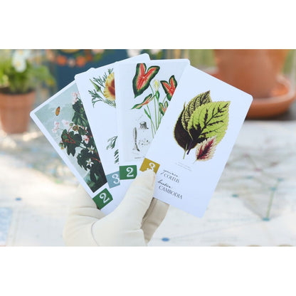 Botany Game