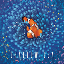 Shallow Sea Game