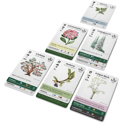 Reforest - Old Growth Game