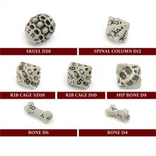 D7-Die Set Dice Skull & Bone Full 7 Dice Set - Cleaned Bone White