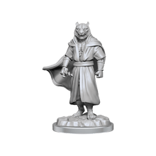 Critical Role Unpainted Miniatures Male Human Sorcerer Merchant & Tiger Demon