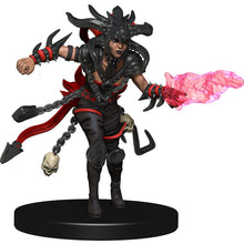 D&D Icons of the Realms Guildmasters Guide to Ravnica Companion Starter Two Dungeons & Dragons