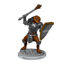 D&D Nolzurs Marvelous Miniatures Dragonborn Clerics